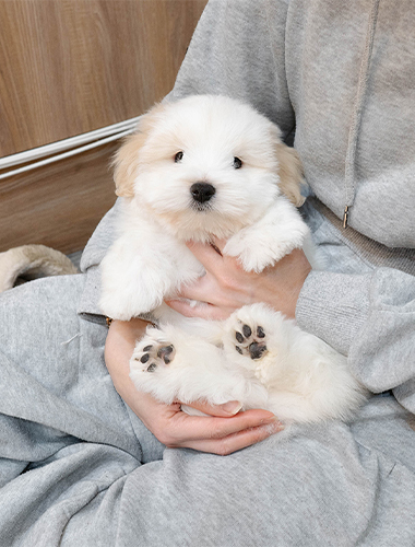 봉구&춘식이 (Bongu&Chunsik)