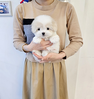 리요(RIYO)