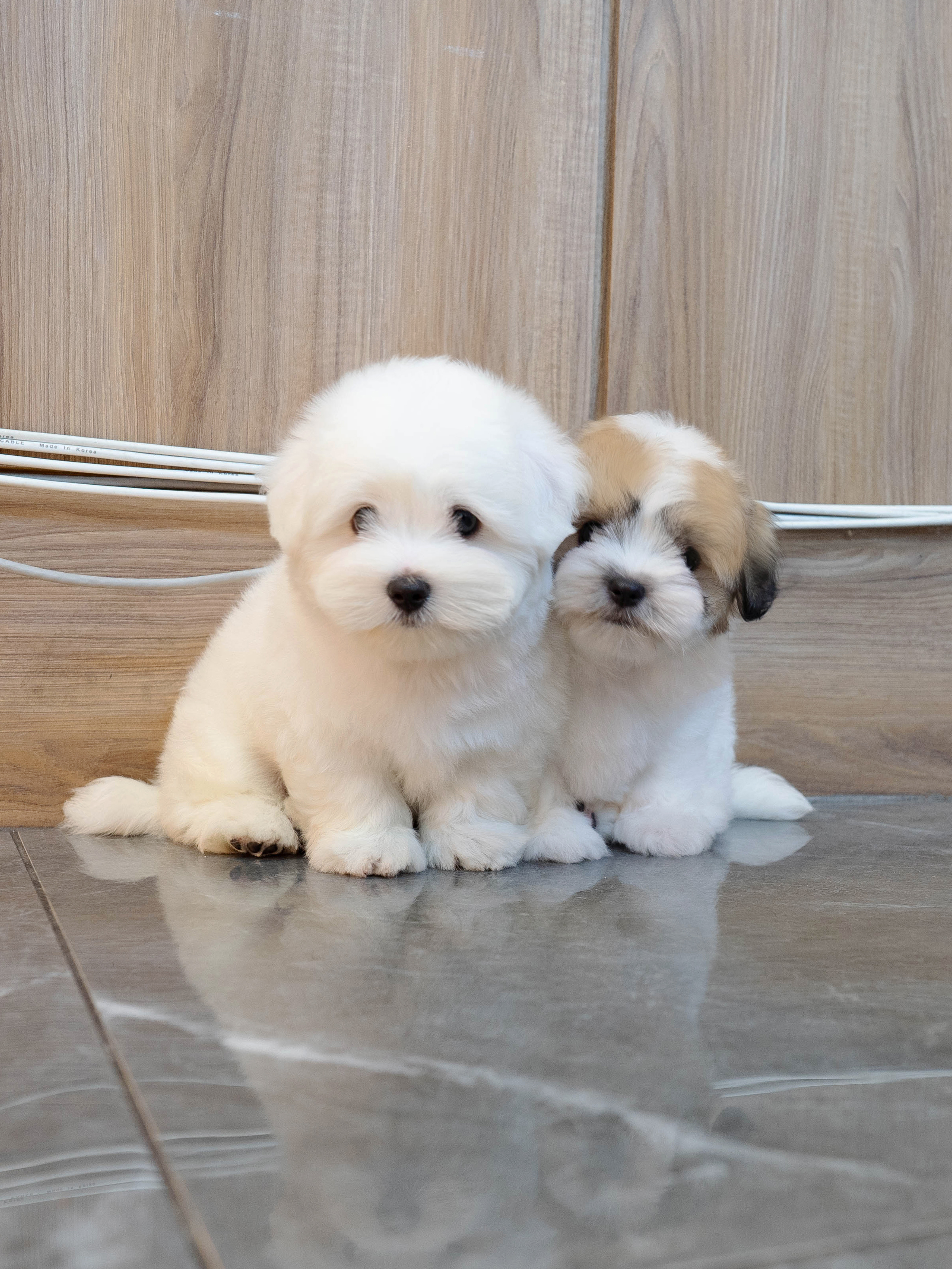 가람&리코타 (GARAM&RICOTTA)