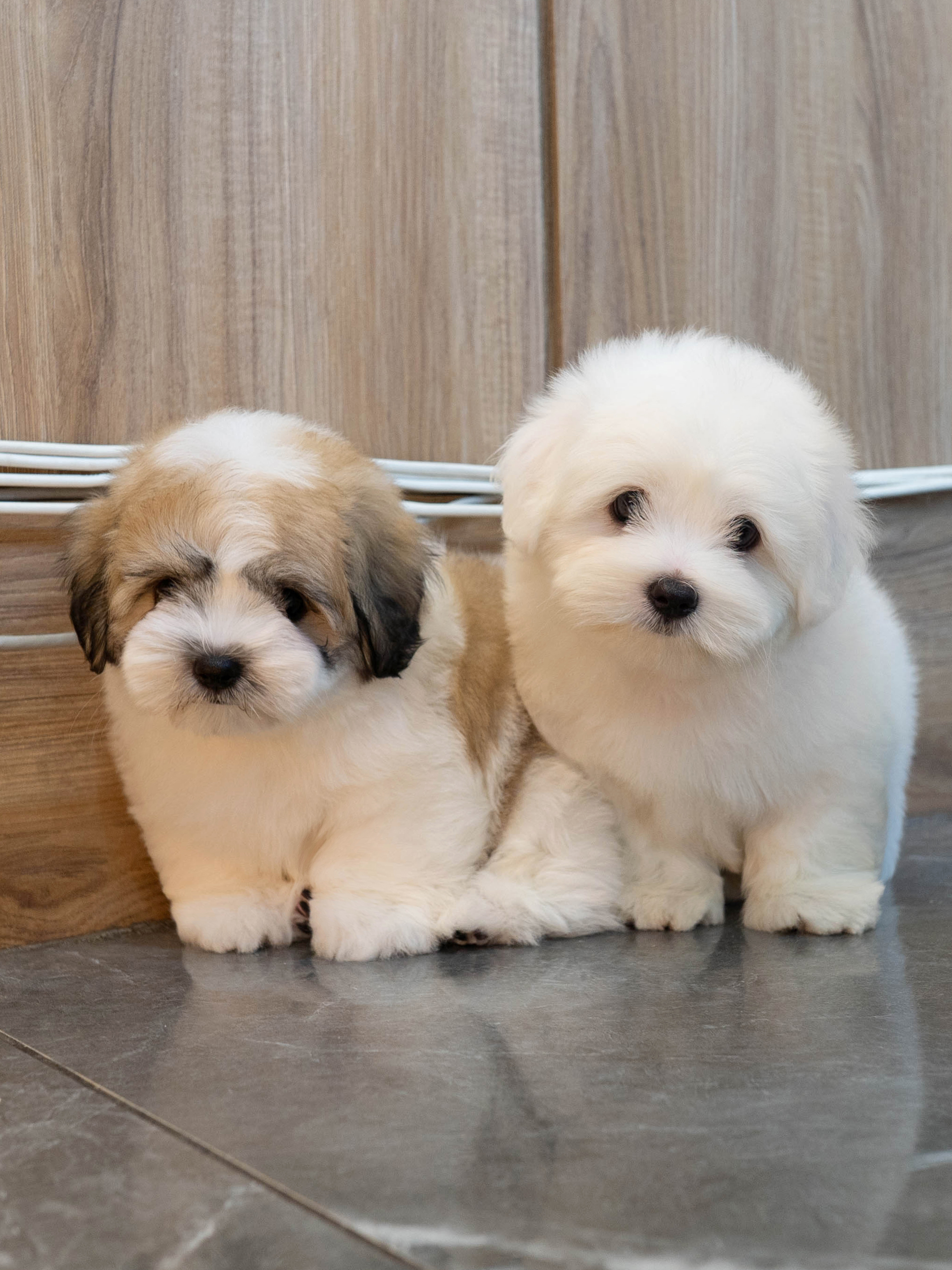 가람&리코타 (GARAM&RICOTTA)