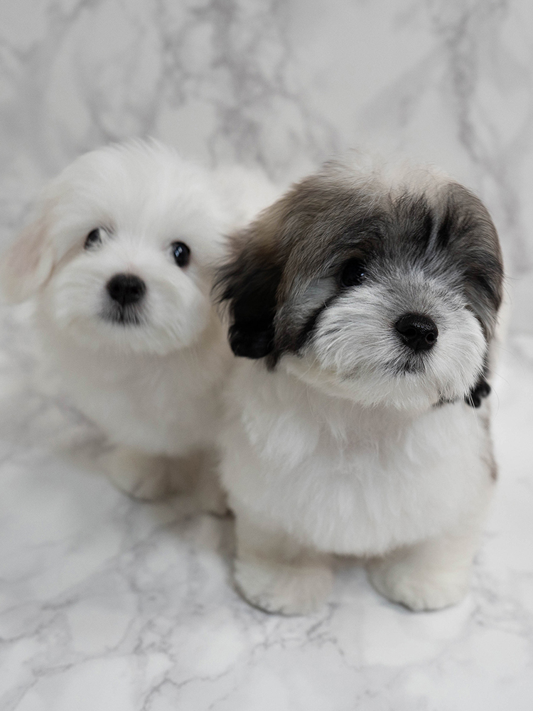 레나&루나 (RENA&RUNA)