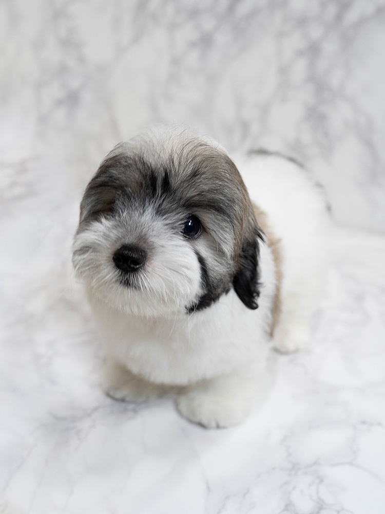 레나&루나 (RENA&RUNA)