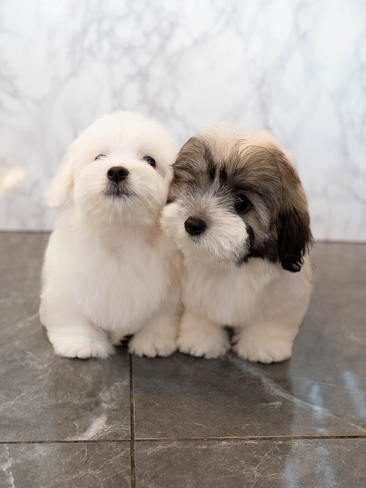 레나&루나 (RENA&RUNA)