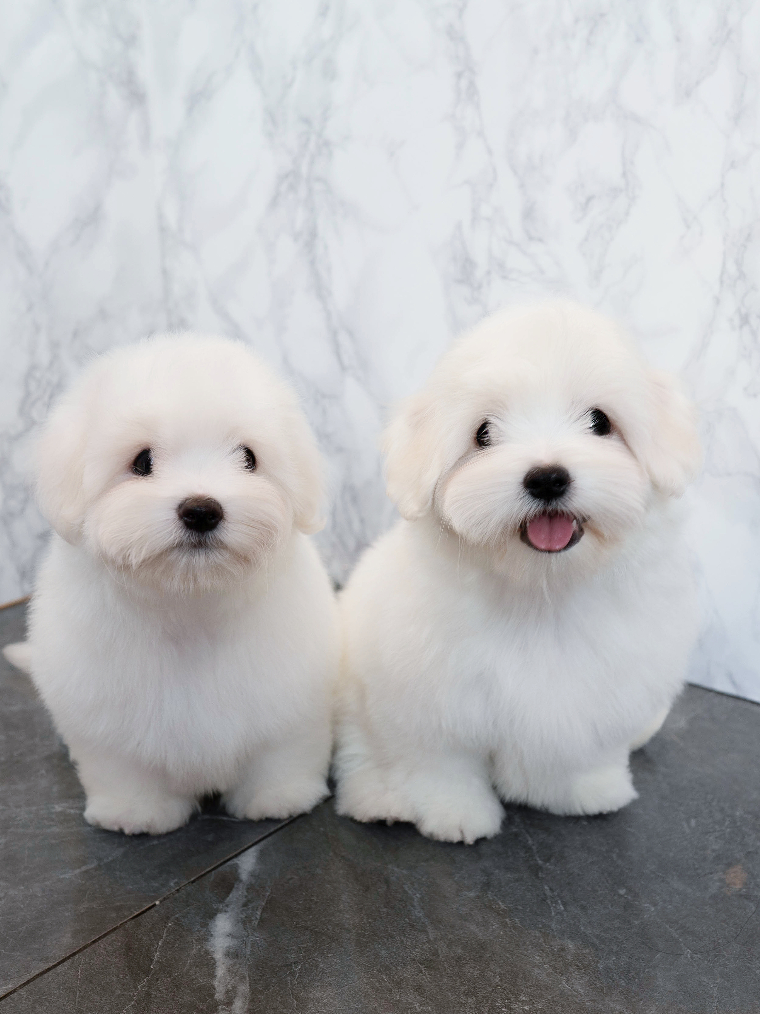 오키&도키 (Okey&Dokey)