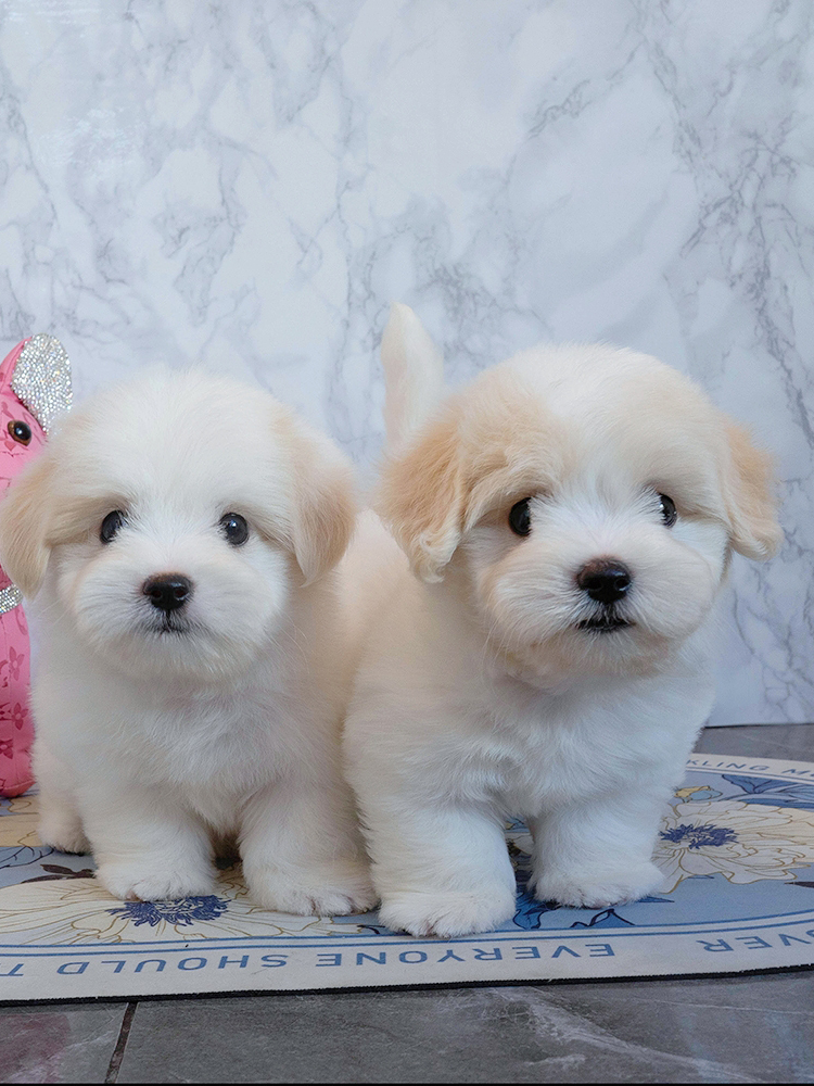 누네&띠네 (Nu-ne&Ti-ne)