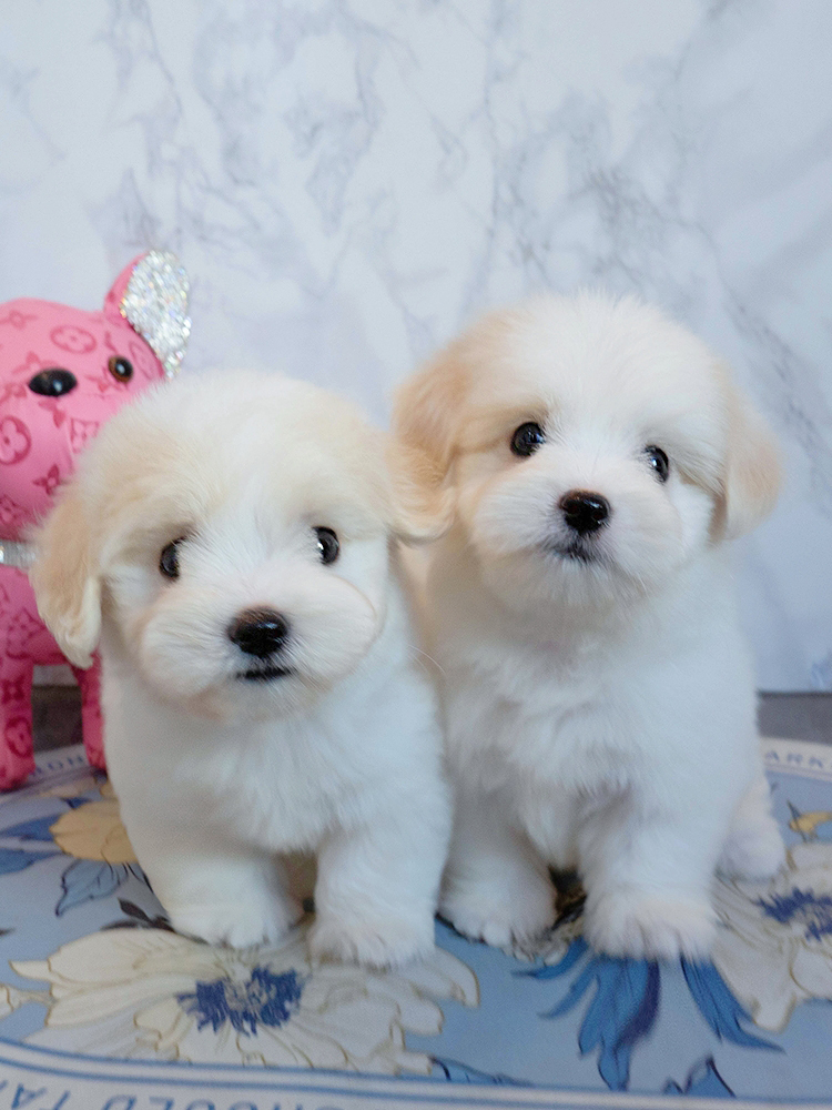 누네&띠네 (Nu-ne&Ti-ne)