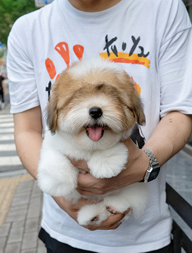 포미 & 구미 (Pomi &  Gumi)