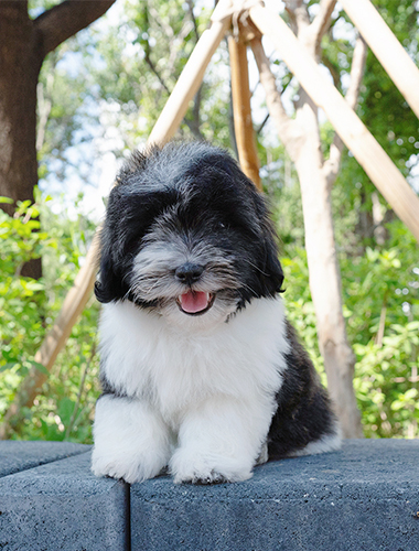 유키&키키 (Yuki&Kiki)