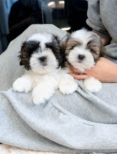 프리티&스위티 (pretty&sweety)