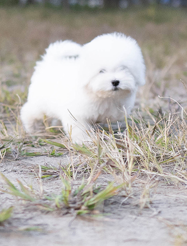 엘사 & 안나 (elsa & anna)