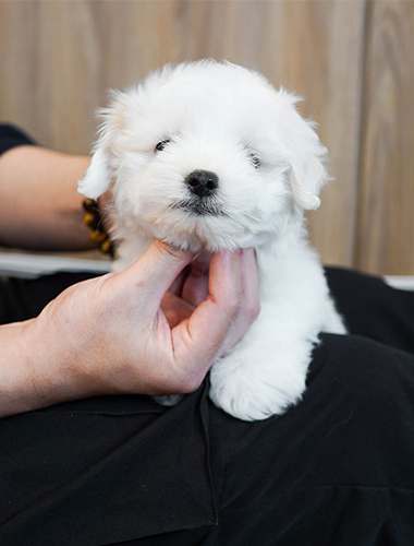 솔트&페퍼 (salt&pepper)