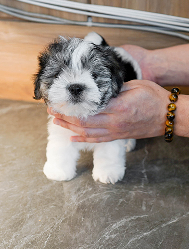 솔트&페퍼 (salt&pepper)