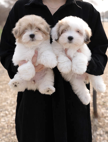 위니&티니(winy&tiny)