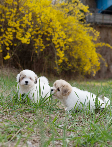 위니&티니(winy&tiny)