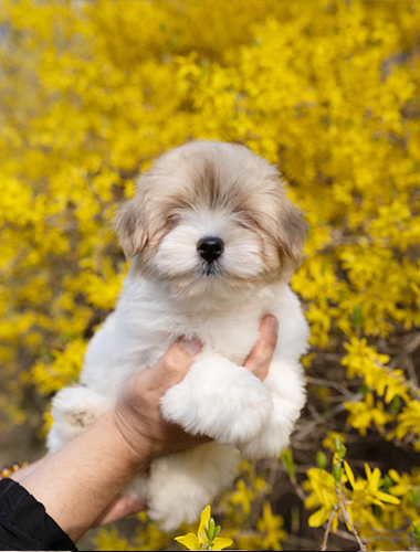 위니&티니(winy&tiny)