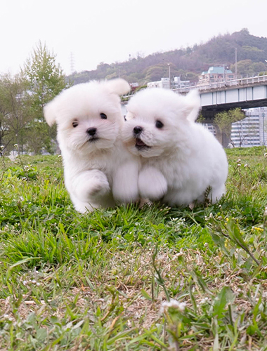 캬라멜&팝콘 (Caramel&Popcorn)