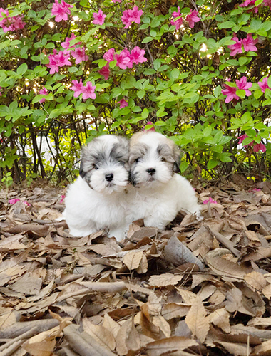 허니&달링 (honey &darling)