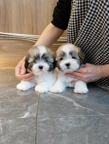 허니&달링 (honey &darling)